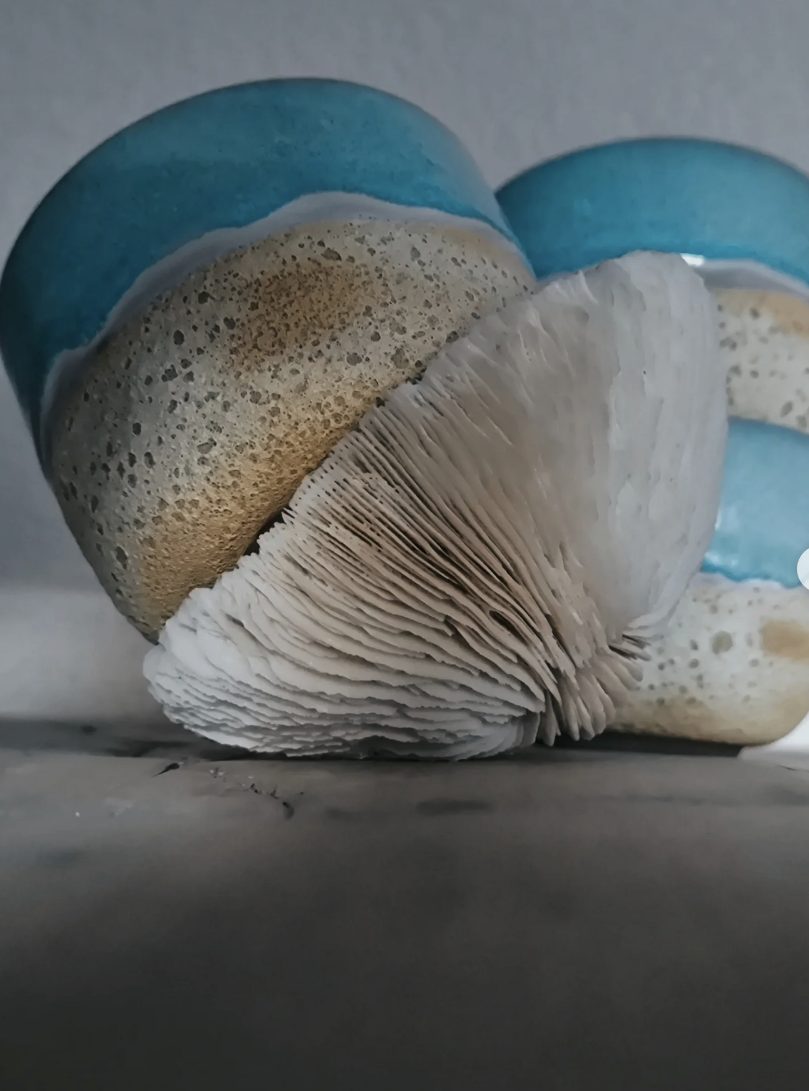 Ceramiczna dekoracja w kształcie grzyba